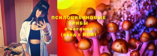 стаф Семикаракорск