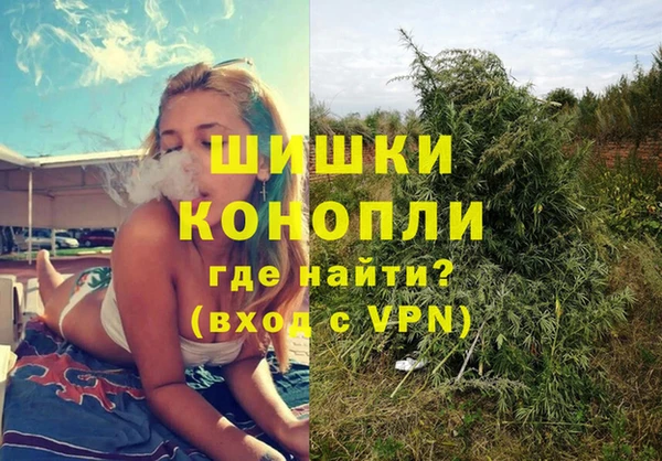 стаф Семикаракорск